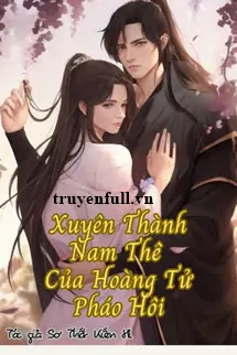 xuyen-thanh-nam-the-cua-hoang-tu-phao-hoi-106